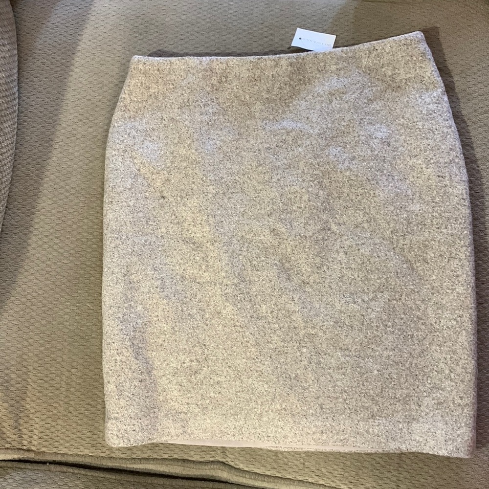 Ann Taylor Skirt.